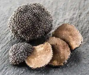 mantar çeşitleri. trüf mantarı