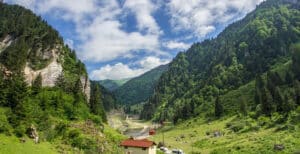 aralıklı/trabzon