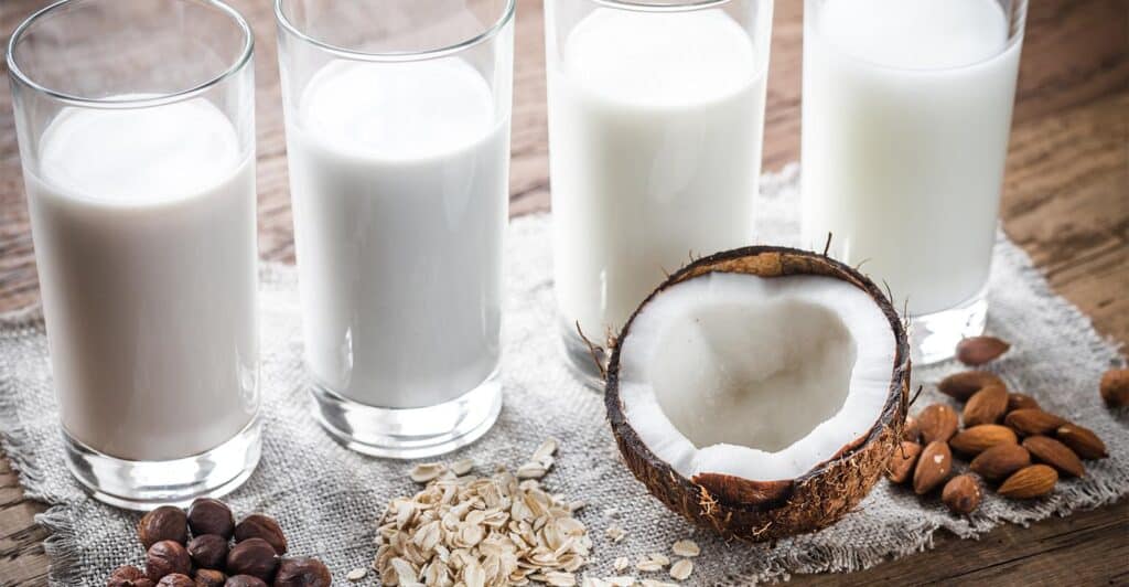 Vegan Süt Alternatifleri