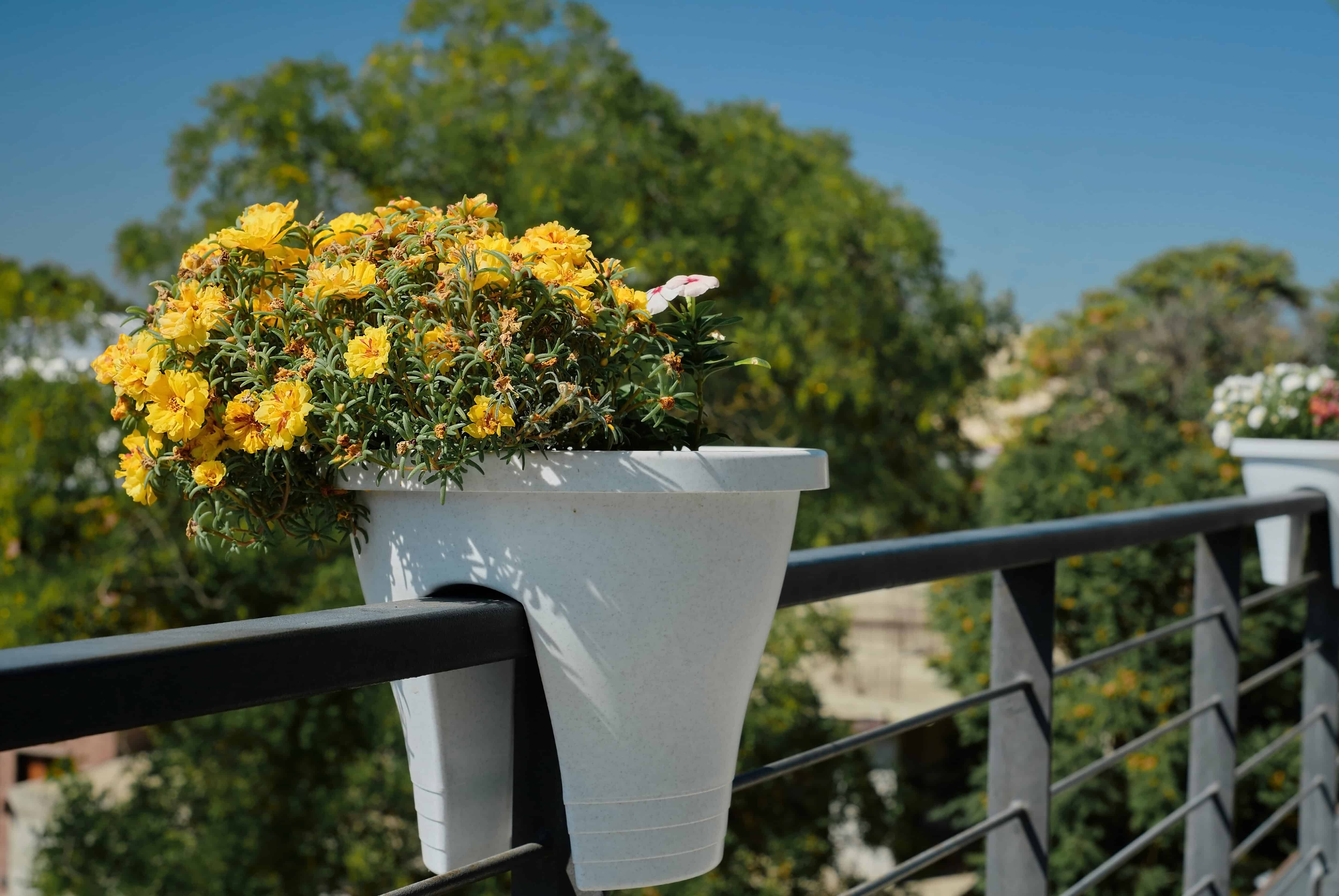 Balkon Dekorasyonunda Son Trendler