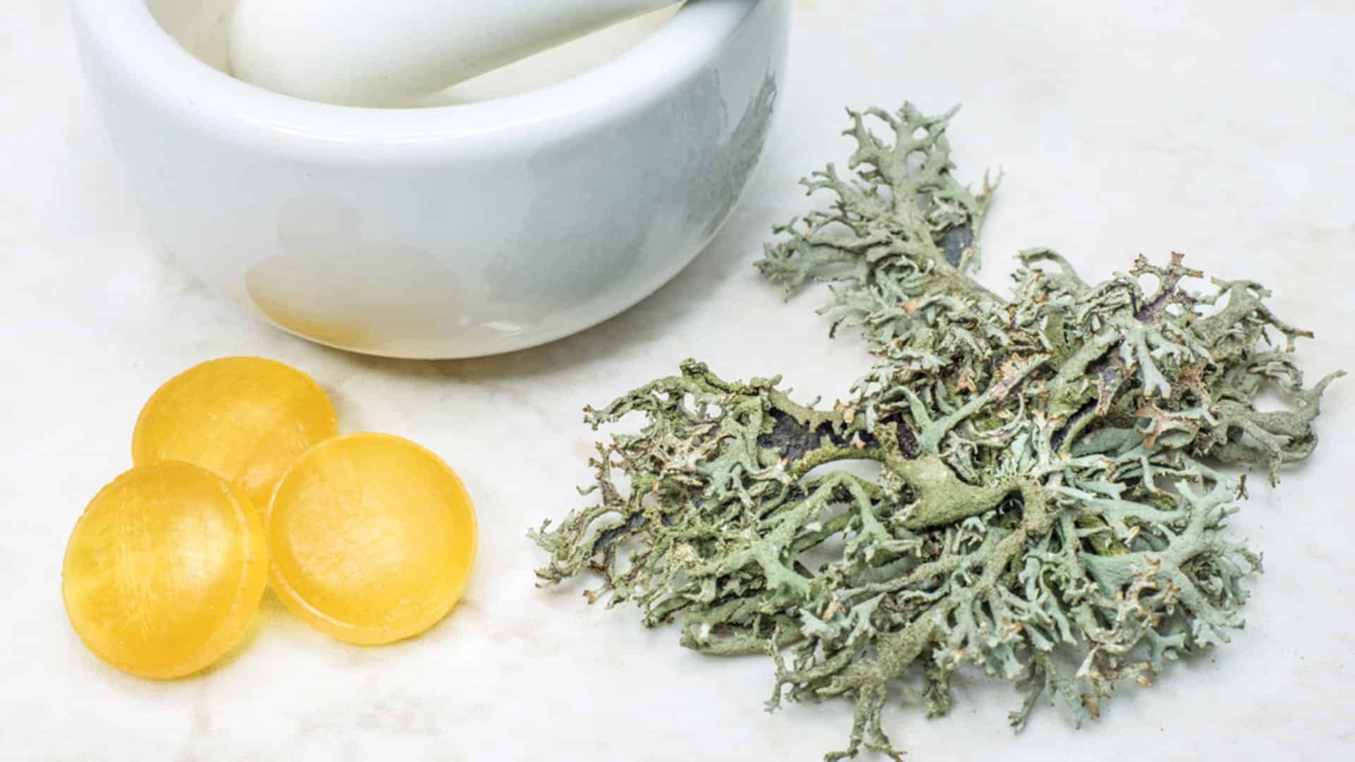 Boğaz Ağrısı İçin Doğal Pastil Yapımı