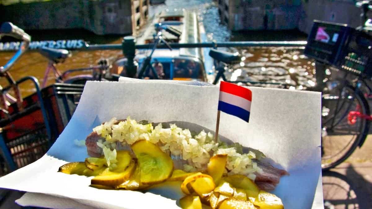 Hollanda’nın Meşhur Lezzetleri