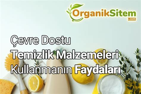 Çevre Dostu Temizlik Ürünleri ve Tarifleri