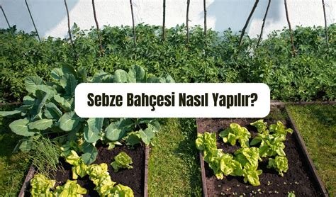 Evde Organik Bahçecilik İçin İpuçları