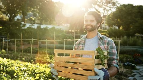 Kendi Bahçenizi Oluşturmanın Avantajları